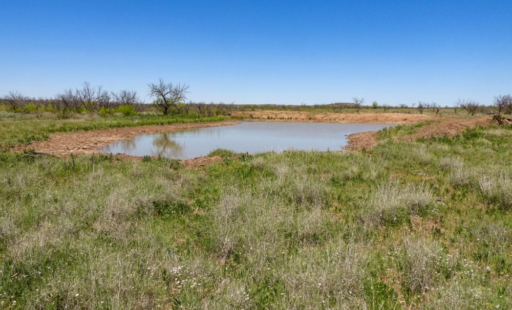 Triangle H Ranch featured image