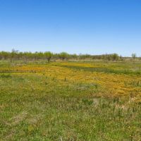 Triangle H Ranch images 2