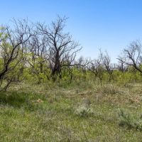 Triangle H Ranch images 5