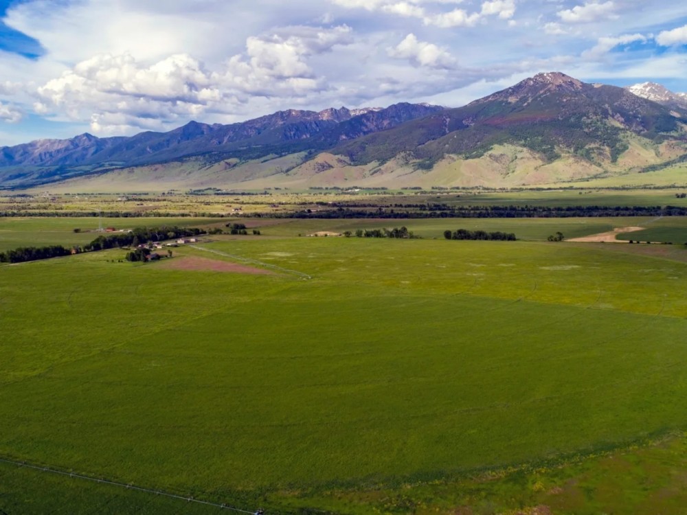 Paradise Valley Farm featured image