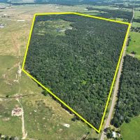 425 Acres FM 230 images 1