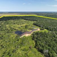 425 Acres FM 230 images 2