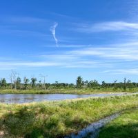 425 Acres FM 230 images 3