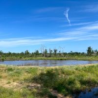 425 Acres FM 230 images 4