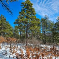 E17 Santa Fe Trail Ranch images 2