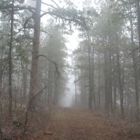 E17 Santa Fe Trail Ranch images 3