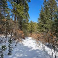 E17 Santa Fe Trail Ranch images 4