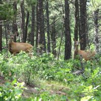 E17 Santa Fe Trail Ranch images 5