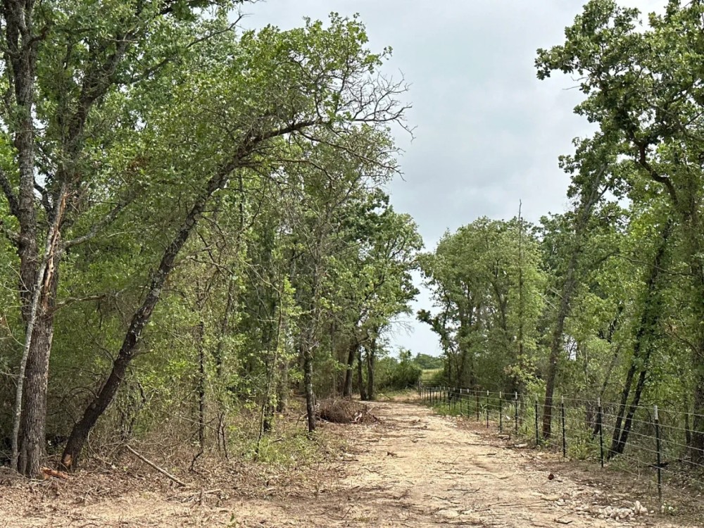 New Listing 80.25 Acres Eastland County featured image