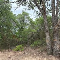 New Listing 80.25 Acres Eastland County images 3