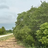 New Listing 80.25 Acres Eastland County images 5