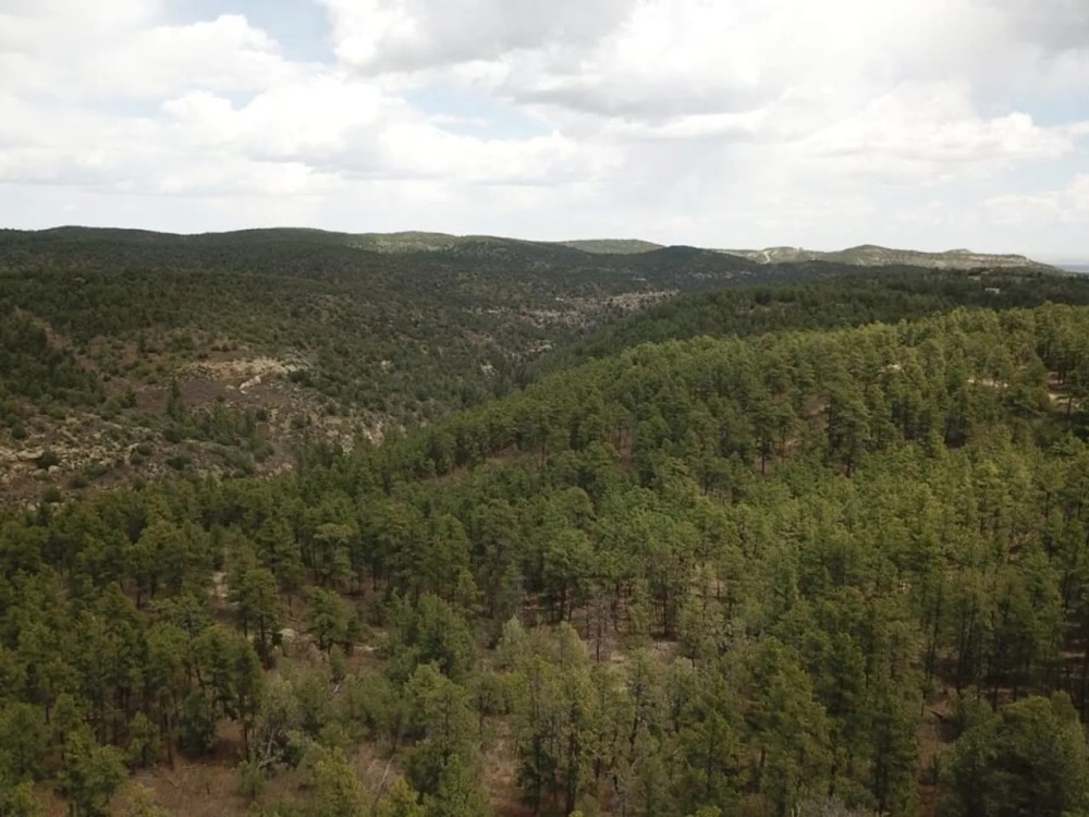 176 Timber Canyon featured image