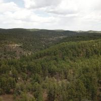 176 Timber Canyon