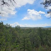 176 Timber Canyon images 4