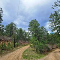 176 Timber Canyon images 5
