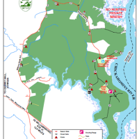 5,217 acres Chickahominy - hunting land for Mule Deer & Turkey in Charles, VA