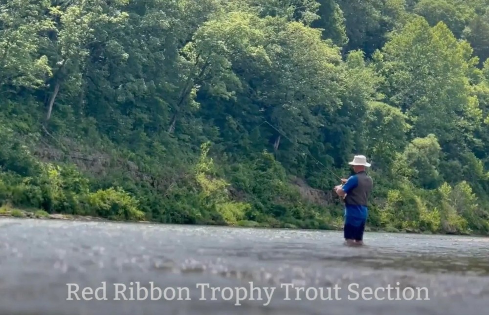 North Fork of White River featured image