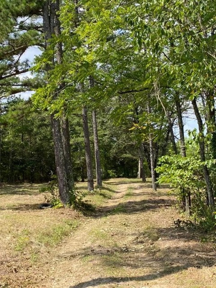 4.66 Acres Water Sewer Electric Close to Rivers featured image
