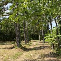 4.66 Acres Water Sewer Electric Close to Rivers