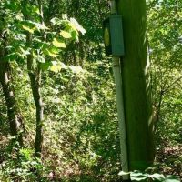 4.66 Acres Water Sewer Electric Close to Rivers images 4