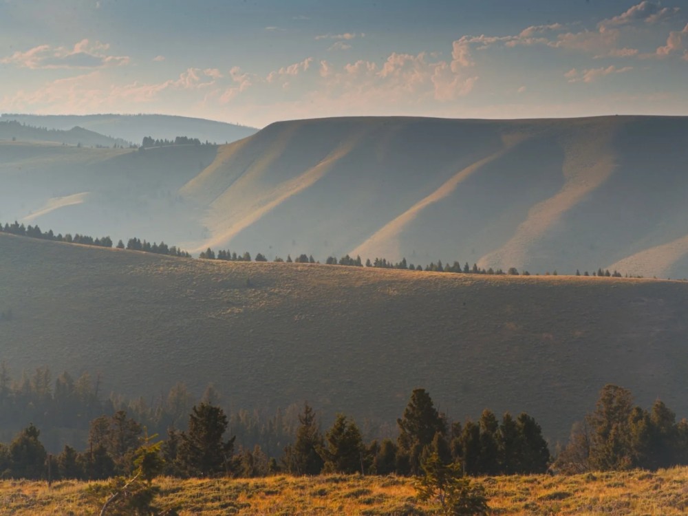 Nip and Tuck Ranch featured image