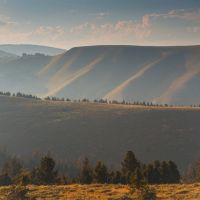 Nip and Tuck Ranch