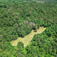 414 Acres Hunting Land For Sale in Franklin County with Camp images 2