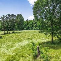 414 Acres Hunting Land For Sale in Franklin County with Camp images 5