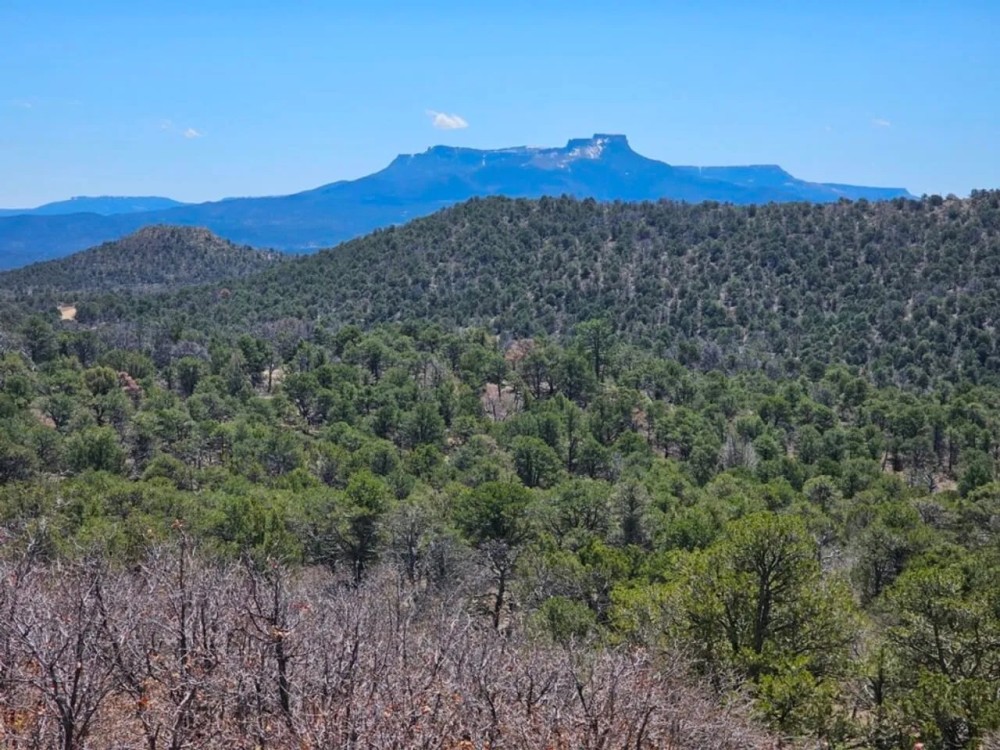 4 Fishers Peak Ranch featured image