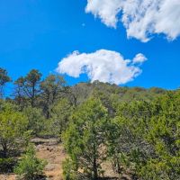 4 Fishers Peak Ranch images 4