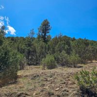 4 Fishers Peak Ranch images 5