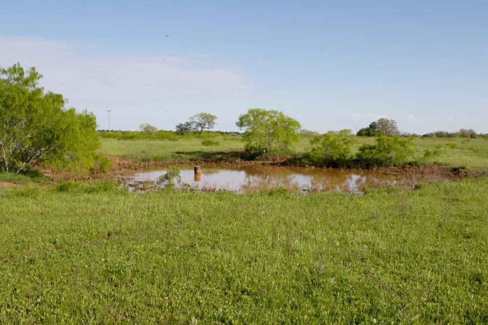 Tract 10 Armstrong Derry Road in Flatonia featured image