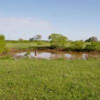 Tract 10 Armstrong Derry Road in Flatonia