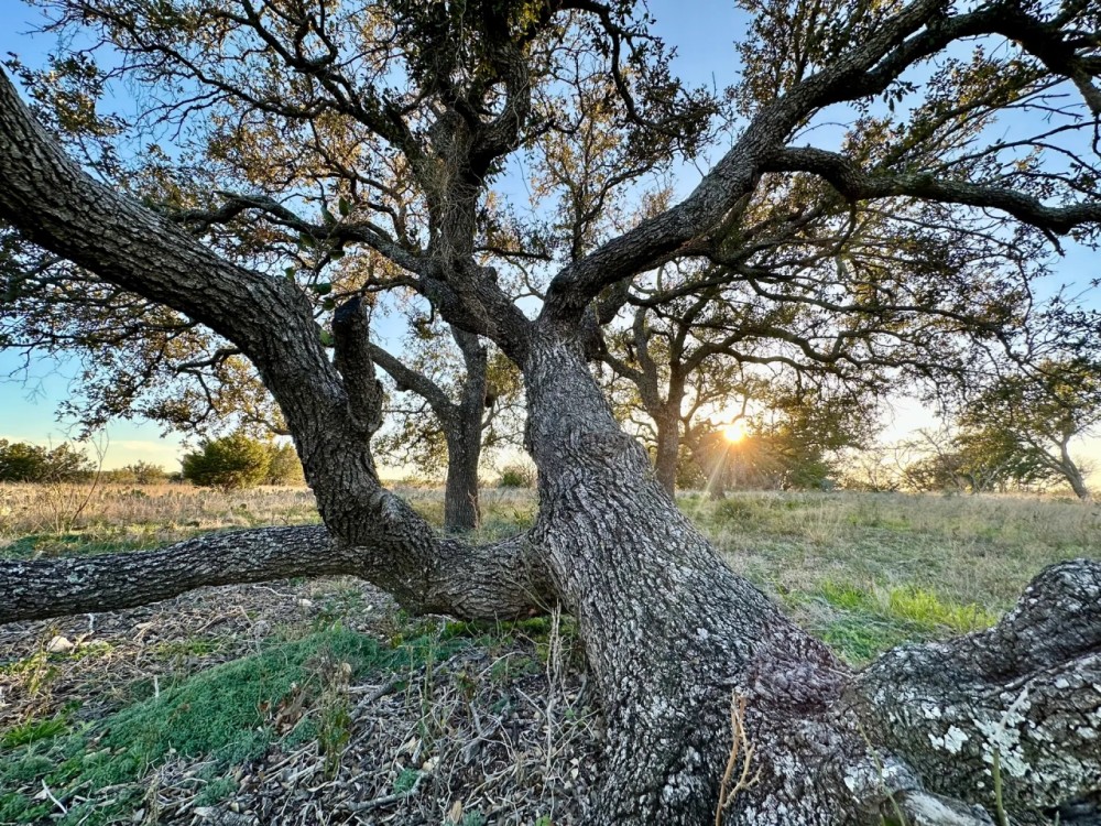 1 Ranch Rd 1222 Mason TX 76856 featured image