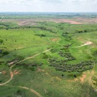 NE Harper Co. Farm Ranch Hunt images 3