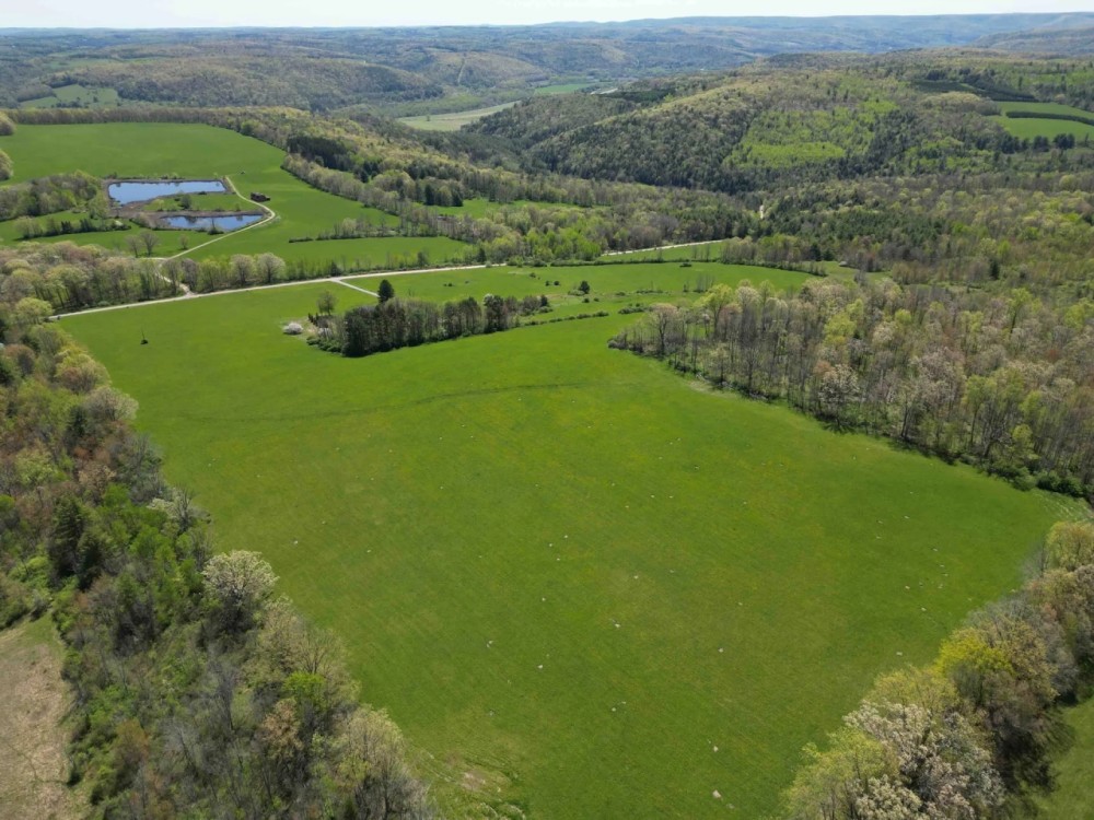 88 acres Tillable Land with Woodlands and Pond in Lindley NY Engle Road featured image