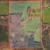 88 acres Tillable Land with Woodlands and Pond in Lindley NY Engle Road images 4