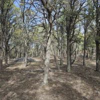 T1 Fishers Peak Ranch images 2