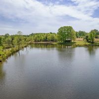 Awesome lake property with cabin images 5