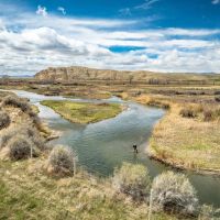 Beaverhead River Rock