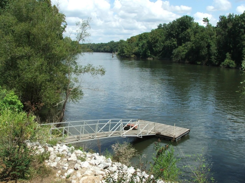 Savannah River Frontage Spectacular Timber featured image