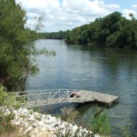 Savannah River Frontage Spectacular Timber