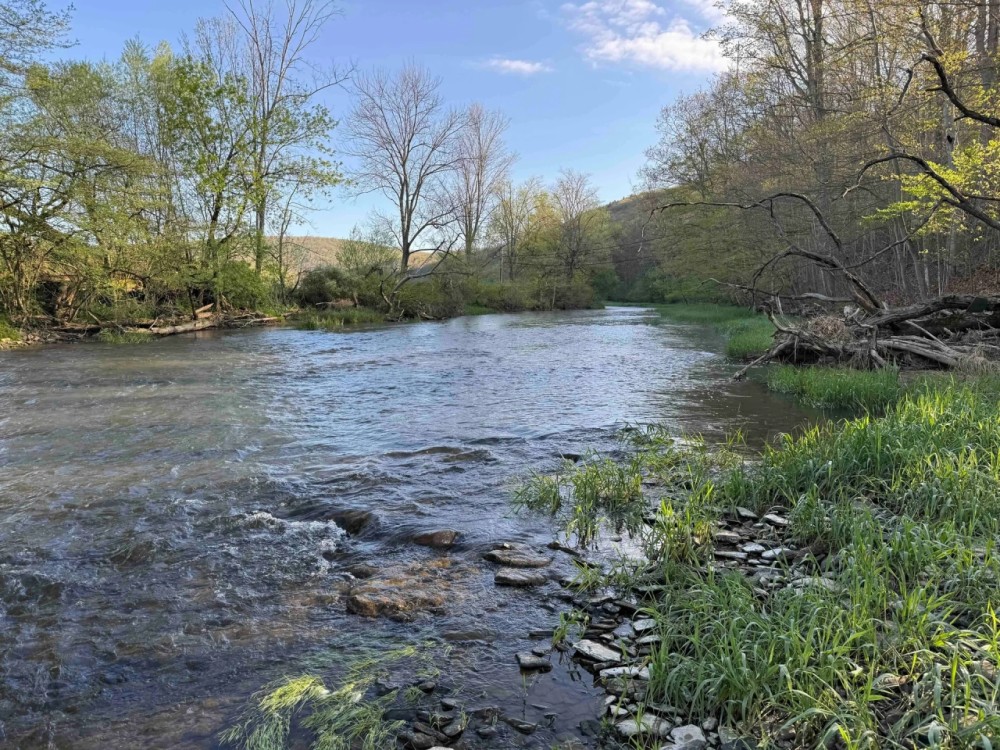 11 acres Hunting Land and Building Lot bordering Ischua Creek in Ischua NY NY-16 featured image
