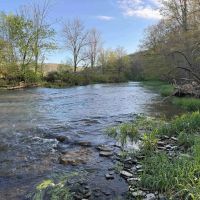 11 acres Hunting Land and Building Lot bordering Ischua Creek in Ischua NY NY-16