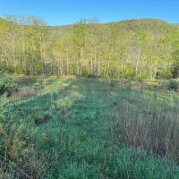 11 acres Hunting Land and Building Lot bordering Ischua Creek in Ischua NY NY-16 images 5