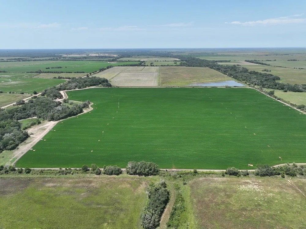 240 acres Garwood TX Colorado County featured image