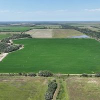 240 acres Garwood TX Colorado County