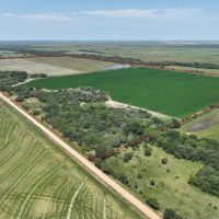 240 acres Garwood TX Colorado County images 2