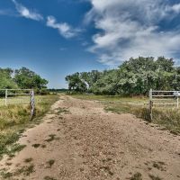 240 acres Garwood TX Colorado County images 3