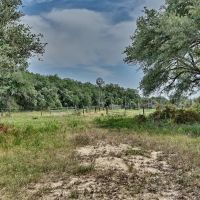 240 acres Garwood TX Colorado County images 4
